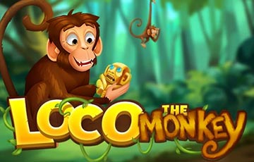 Loco the Monkey